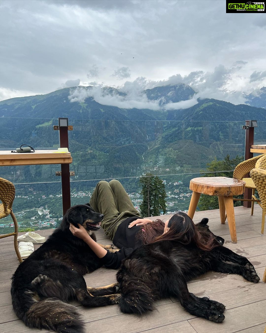 Pooja Chopra Instagram - ‘Paw’fect mornings like these 🏔️😒 #glampeco #Toshi #kuro 🐾 Himachal
