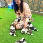Pooja Chopra Instagram - I’d like everyday to look like…. THIS! #puppylove #aboutlastevening💕