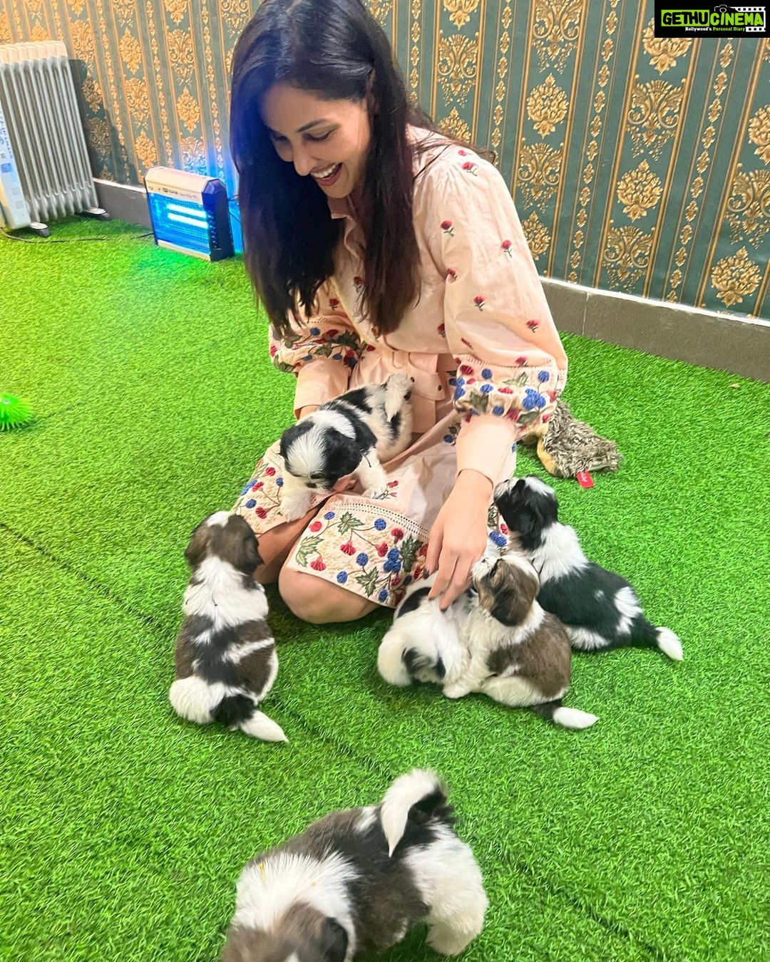 Pooja Chopra Instagram - I’d like everyday to look like…. THIS! #puppylove #aboutlastevening💕