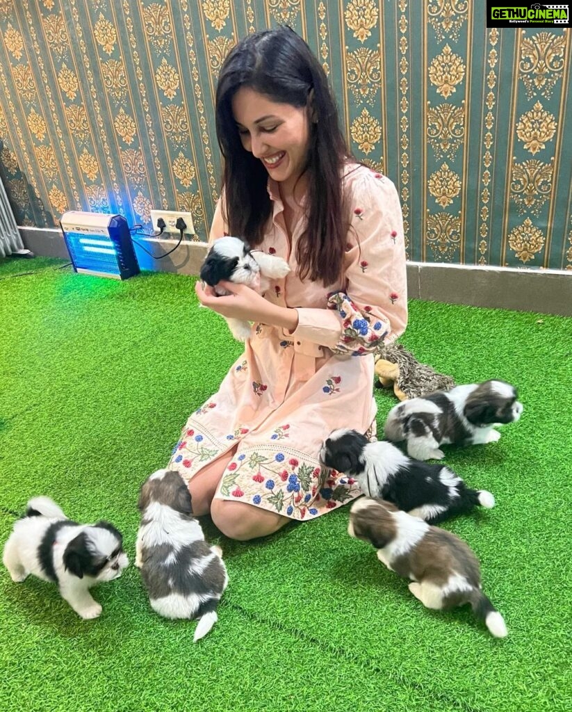 Pooja Chopra Instagram - I’d like everyday to look like…. THIS! #puppylove #aboutlastevening💕