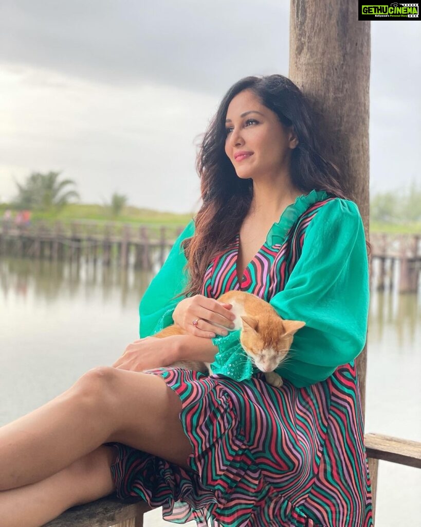 Pooja Chopra Instagram - She wasn’t mine, but she made me hers.. #Catnap #quiteliterally #bella Goa