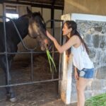 Pooja Chopra Instagram – 𝒯𝒽𝑒𝓇𝑒 𝓈𝒽𝑒 g̷l̷o̷w̷s̷  #horselove #horsegirl #missedconnections #onlylove #sansfiltre 🤍