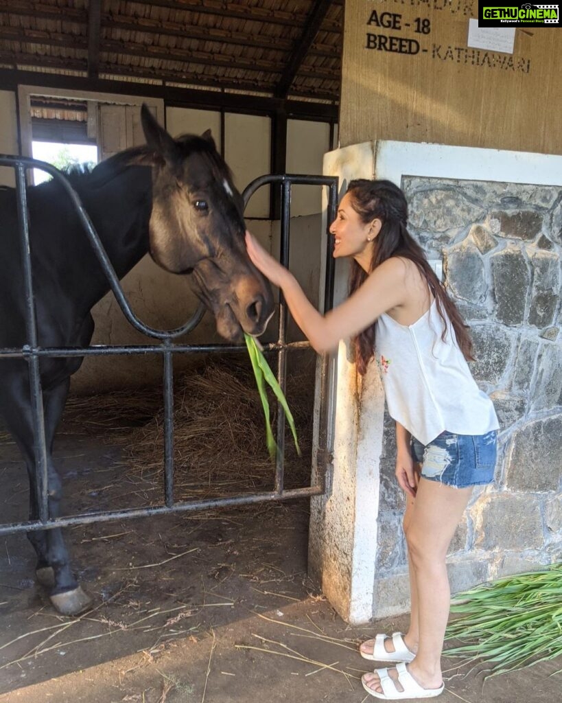 Pooja Chopra Instagram - 𝒯𝒽𝑒𝓇𝑒 𝓈𝒽𝑒 g̷l̷o̷w̷s̷ #horselove #horsegirl #missedconnections #onlylove #sansfiltre 🤍