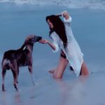 Poonam Pandey Instagram - Raining, Posing Sab Accha Chal Raha Hai .. Can’t wait for these pictures . . . #poonampandey #poonampandeyreal #beach #raining #photography #photoshoot #fun #bikinis #poonampandeyvideos #pplovers .