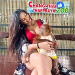 Poonam Pandey Instagram - While I was travelling, I went to see this beautiful girl Sandra ..one of the cutest soul I’ve seen in Thailand 🇹🇭 . . . #memories #poonampandey #thailand #beautiful #poonampandeyphotos #love #travelphotography #travel #fun #instagood #instagram #instadaily Changthai Thappraya Safari : ช้างไทยทัพพระยา ซาฟารี แอนด์ แอดเวนเจอร์ปาร์ค
