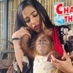Poonam Pandey Instagram - While I was travelling, I went to see this beautiful girl Sandra ..one of the cutest soul I’ve seen in Thailand 🇹🇭 . . . #memories #poonampandey #thailand #beautiful #poonampandeyphotos #love #travelphotography #travel #fun #instagood #instagram #instadaily Changthai Thappraya Safari : ช้างไทยทัพพระยา ซาฟารี แอนด์ แอดเวนเจอร์ปาร์ค