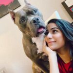 Poonam Pandey Instagram - In this entire fire incident, nothing happened to my Mandir..I’m so grateful to the universe that Caesar is absolutely fine..my staff, my sister they all are fine..yes, house is burnt but souls are fine 🙏 . . . . #fire #house #firebrigade #firedepartment #myhouse