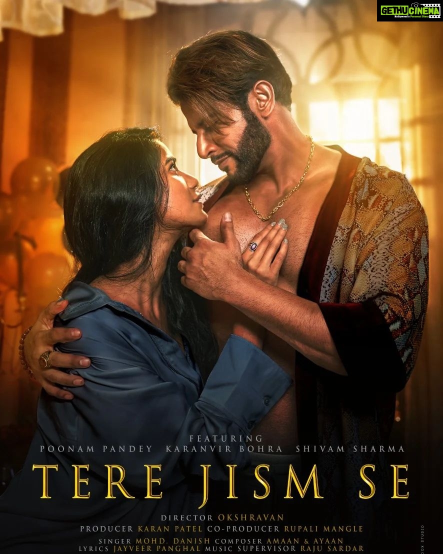 Poonam Pandey Instagram - The poster of our new music video #terejismse