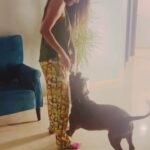 Poonam Pandey Instagram – My handsome Caesar ❤️ #pittbull