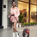 Poonam Pandey Instagram – Caesar and I went for a walk today..

#caesar #myboy #myson #pitbull #pitbulls 
#poonampandey #ppfans #caesarfans