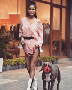 Poonam Pandey Instagram - Caesar and I went for a walk today.. #caesar #myboy #myson #pitbull #pitbulls #poonampandey #ppfans #caesarfans