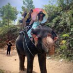Poonam Preet Bhatia Instagram - With my Saathi @sanjaygagnaniofficial and Haathi 🐘😜 #traveldiaries #phuket #makingmemories Elephant Sanctuary Phuket
