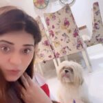 Poonam Preet Bhatia Instagram - Our Answer to : Baaki Sab Theek !?? 😜 #waitforend #iykyk #samajhraheho #pooch #flirty🐶 #myeverything