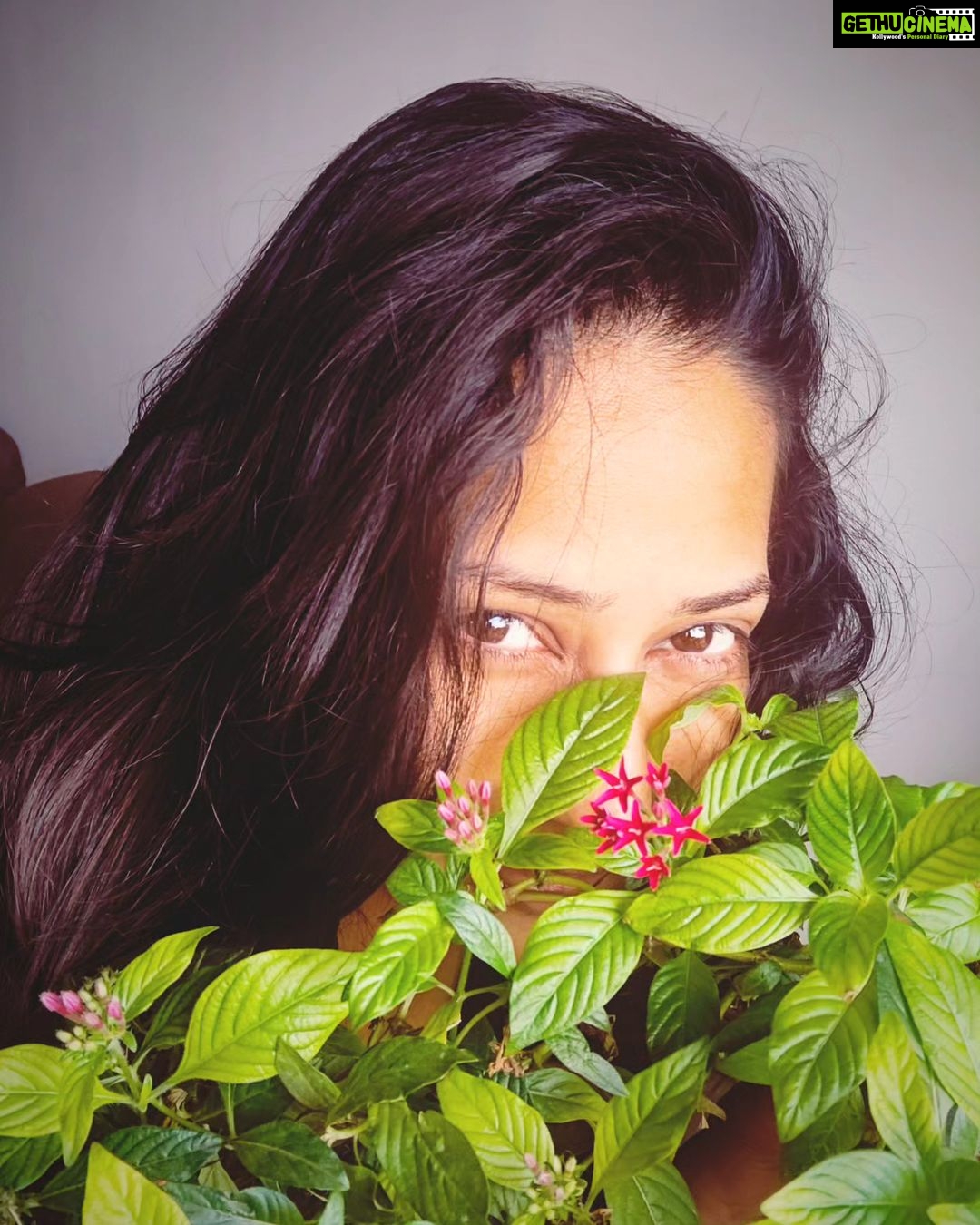 Priya Marathe Instagram - 🌹🌻🌷🌺 #lovefrflowers