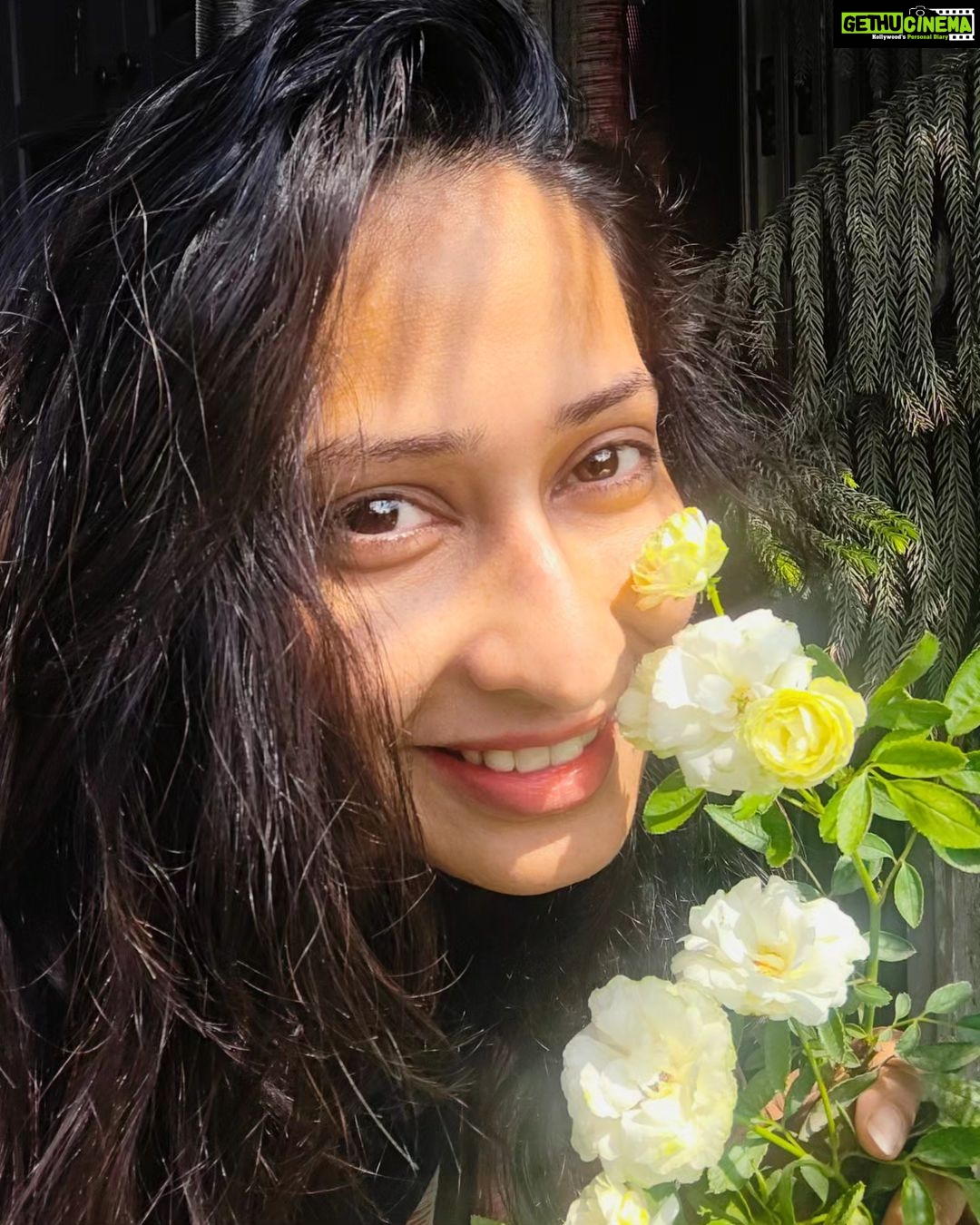 Priya Marathe Instagram - 🌹🌻🌷🌺 #lovefrflowers
