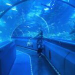 Priyanka Nalkari Instagram – #aquarium #kl #kualalumpur #lovefishes #blue #couplegoals #happyweekend #jumpsuit #selfies #malaysia #fun #happy #wifeylife #actresslife #teluguamayi #tamilactress #indian #instagram #instamood Aquarium KL Tower