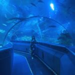 Priyanka Nalkari Instagram – #aquarium #kl #kualalumpur #lovefishes #blue #couplegoals #happyweekend #jumpsuit #selfies #malaysia #fun #happy #wifeylife #actresslife #teluguamayi #tamilactress #indian #instagram #instamood Aquarium KL Tower