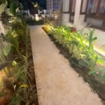 Priyanka Upendra Instagram – Our garden..#eveningmood
