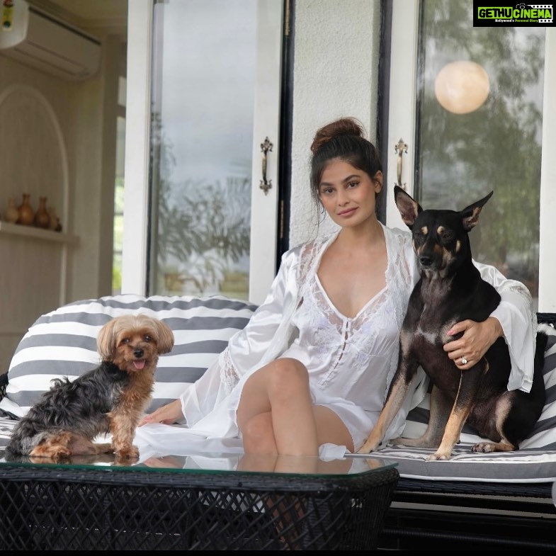 Puja Gupta Instagram - “The magic thing about home is that it feels good to leave, and it feels even better to come back.” Assagao, Goa