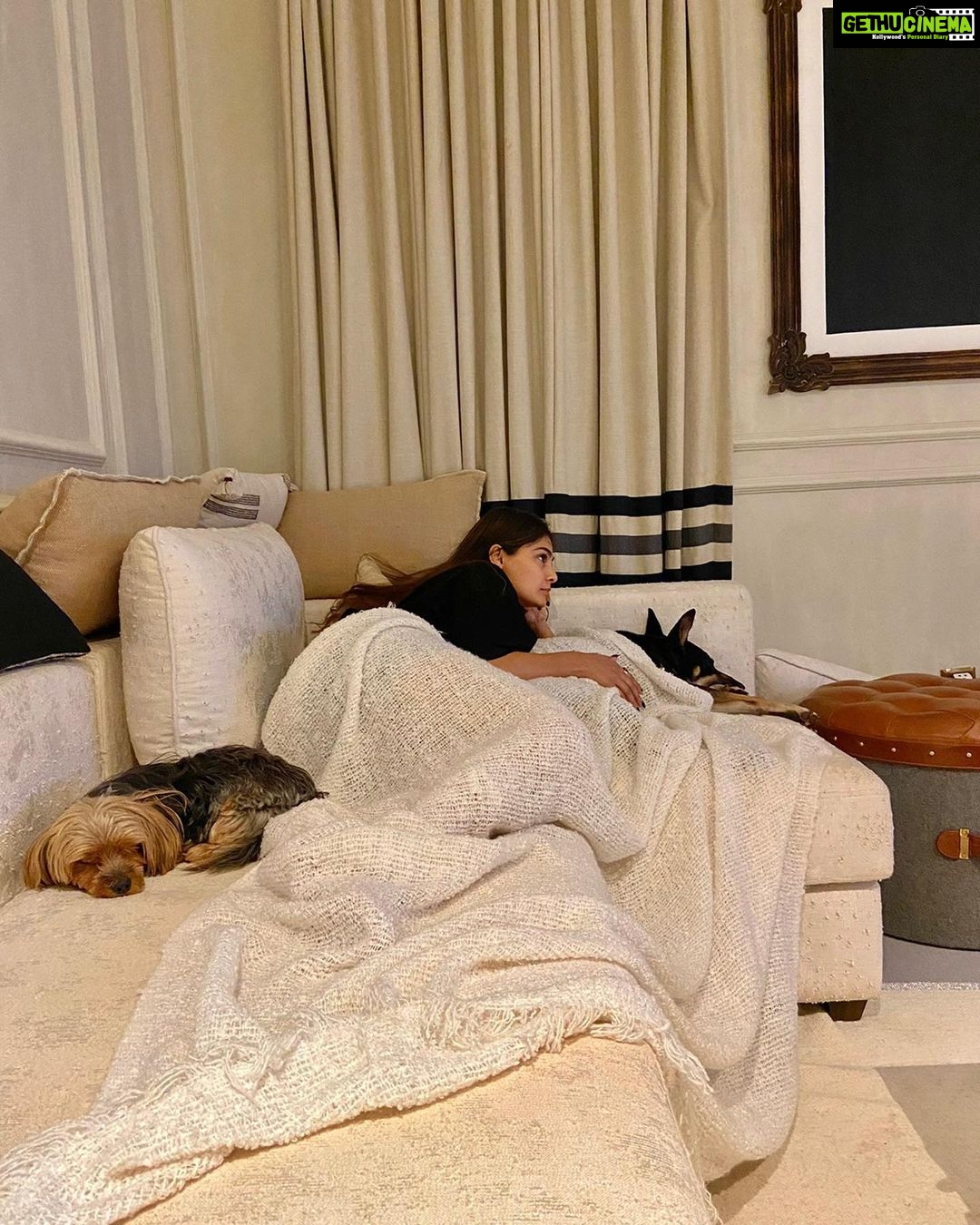 Puja Gupta Instagram - A house is made of walls and beams A home is built with love and dreams. Good night world 😴 Assagao, Goa
