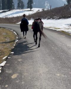 Puja Gupta Instagram - His name is Kallu - he is a young horse boy , we walked for 2 and a half hour non stop exploring Kashmir valleys and we became pals in just few minutes people in Kashmir asked me aren’t u afraid of a new horse u just met and u riding and taking him for walks My answer Animals are harmless they don’t scare me it’s only humans I’m more careful with in life :) 🐎 🌈 Gulmarg, Kashmir