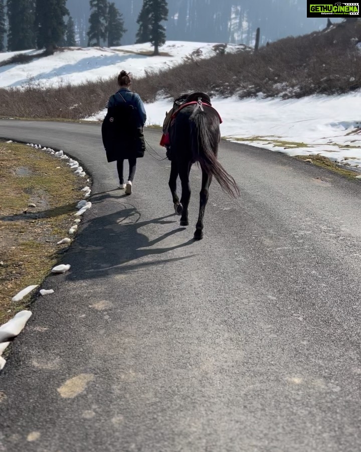 Puja Gupta Instagram - His name is Kallu - he is a young horse boy , we walked for 2 and a half hour non stop exploring Kashmir valleys and we became pals in just few minutes people in Kashmir asked me aren’t u afraid of a new horse u just met and u riding and taking him for walks My answer Animals are harmless they don’t scare me it’s only humans I’m more careful with in life :) 🐎 🌈 Gulmarg, Kashmir