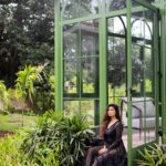 Puja Gupta Instagram - She was chaos and beauty intertwined . A tornado of roses from divine 🥀 Assagao, Goa