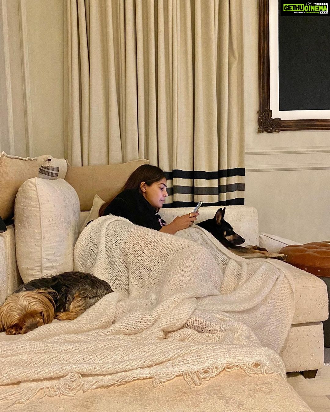 Puja Gupta Instagram - A house is made of walls and beams A home is built with love and dreams. Good night world 😴 Assagao, Goa