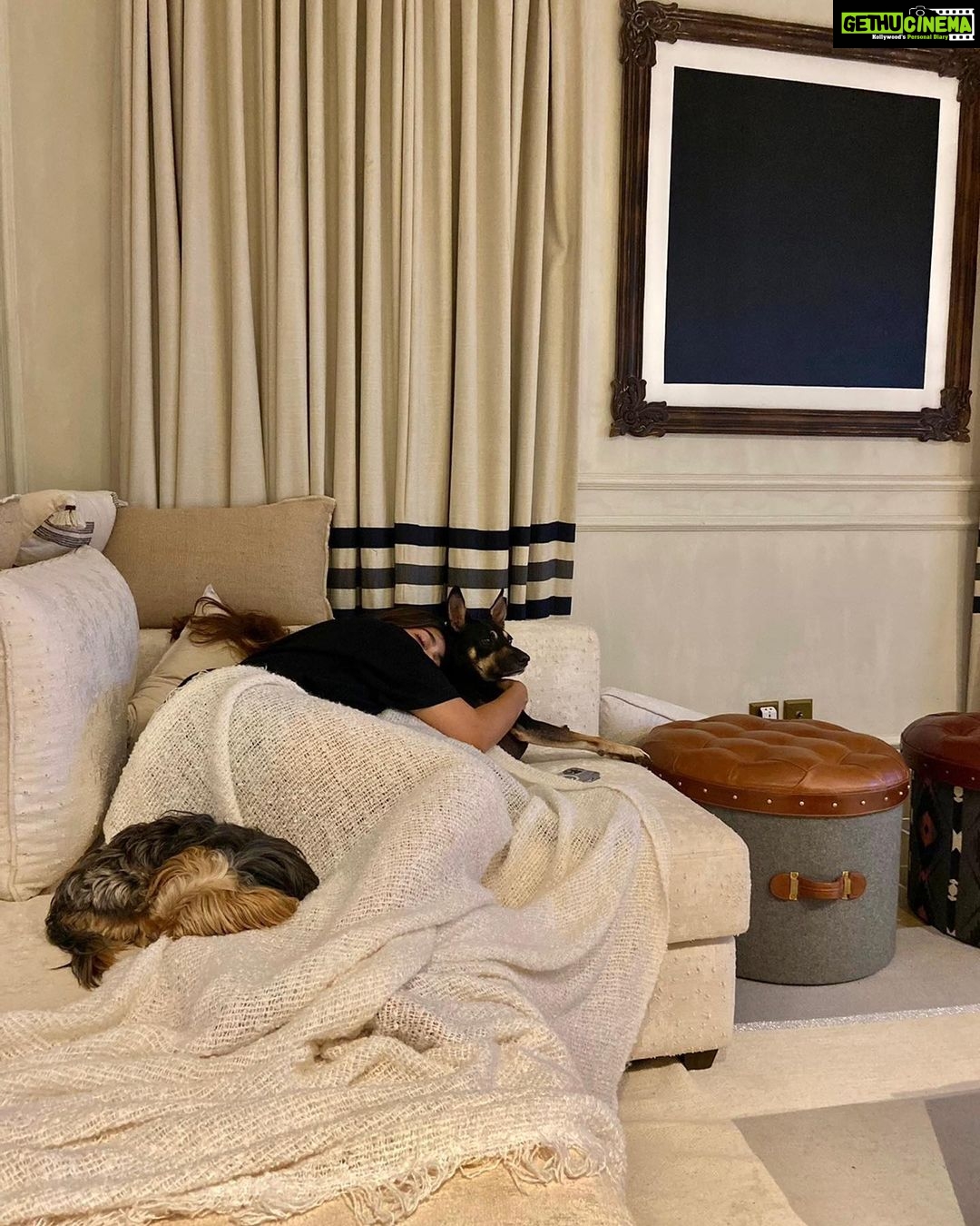 Puja Gupta Instagram - A house is made of walls and beams A home is built with love and dreams. Good night world 😴 Assagao, Goa