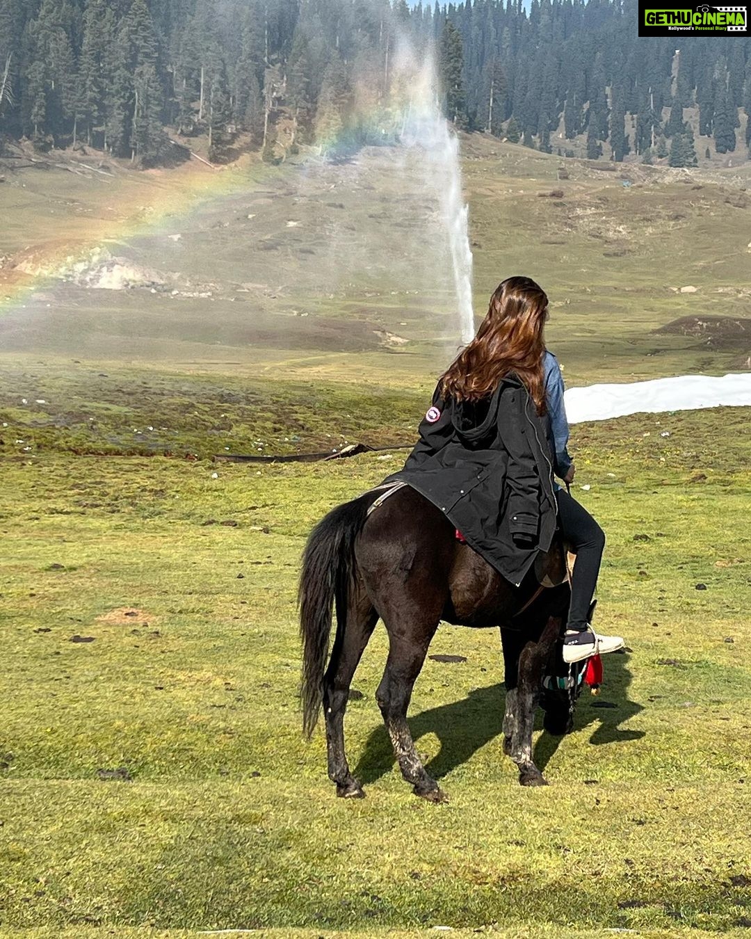 Puja Gupta Instagram - His name is Kallu - he is a young horse boy , we walked for 2 and a half hour non stop exploring Kashmir valleys and we became pals in just few minutes people in Kashmir asked me aren’t u afraid of a new horse u just met and u riding and taking him for walks My answer Animals are harmless they don’t scare me it’s only humans I’m more careful with in life :) 🐎 🌈 Gulmarg, Kashmir