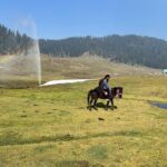 Puja Gupta Instagram - His name is Kallu - he is a young horse boy , we walked for 2 and a half hour non stop exploring Kashmir valleys and we became pals in just few minutes people in Kashmir asked me aren’t u afraid of a new horse u just met and u riding and taking him for walks My answer Animals are harmless they don’t scare me it’s only humans I’m more careful with in life :) 🐎 🌈 Gulmarg, Kashmir