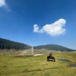 Puja Gupta Instagram - His name is Kallu - he is a young horse boy , we walked for 2 and a half hour non stop exploring Kashmir valleys and we became pals in just few minutes people in Kashmir asked me aren’t u afraid of a new horse u just met and u riding and taking him for walks My answer Animals are harmless they don’t scare me it’s only humans I’m more careful with in life :) 🐎 🌈 Gulmarg, Kashmir
