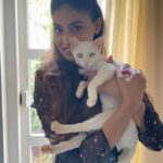 Puja Gupta Instagram - Ladies and gents my Elizabeth She walked into my life and I found her here in goa at my property They say cats chooses u I guess it’s indeed is true 🐱 In the video u can hear her purrring Just makes me the happiest 📸 @filmmakersab 💄 @chocolate_wiggle Assagao, Goa