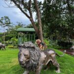Puja Gupta Instagram - In the jungle the mighty jungle the lion sleeps tonight Assagao, Goa