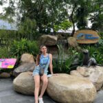 Puja Gupta Instagram - 🦔 🦒 🦓 🦁 🦦 🦖🦧🐘🐆 Singapore Zoo