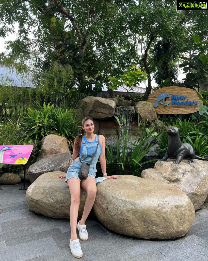 Puja Gupta Instagram - 🦔 🦒 🦓 🦁 🦦 🦖🦧🐘🐆 Singapore Zoo