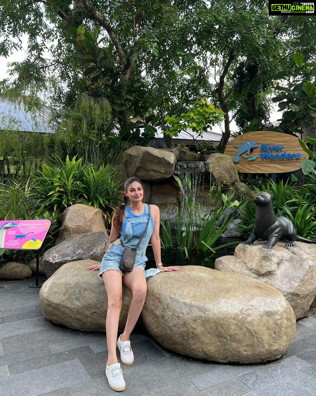 Puja Gupta Instagram - 🦔 🦒 🦓 🦁 🦦 🦖🦧🐘🐆 Singapore Zoo