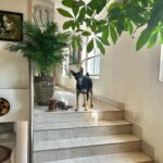 Puja Gupta Instagram - My Jaan’s ♥️ ♥️ Home Sweet Home