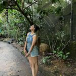 Puja Gupta Instagram - 🦔 🦒 🦓 🦁 🦦 🦖🦧🐘🐆 Singapore Zoo