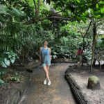 Puja Gupta Instagram - 🦔 🦒 🦓 🦁 🦦 🦖🦧🐘🐆 Singapore Zoo