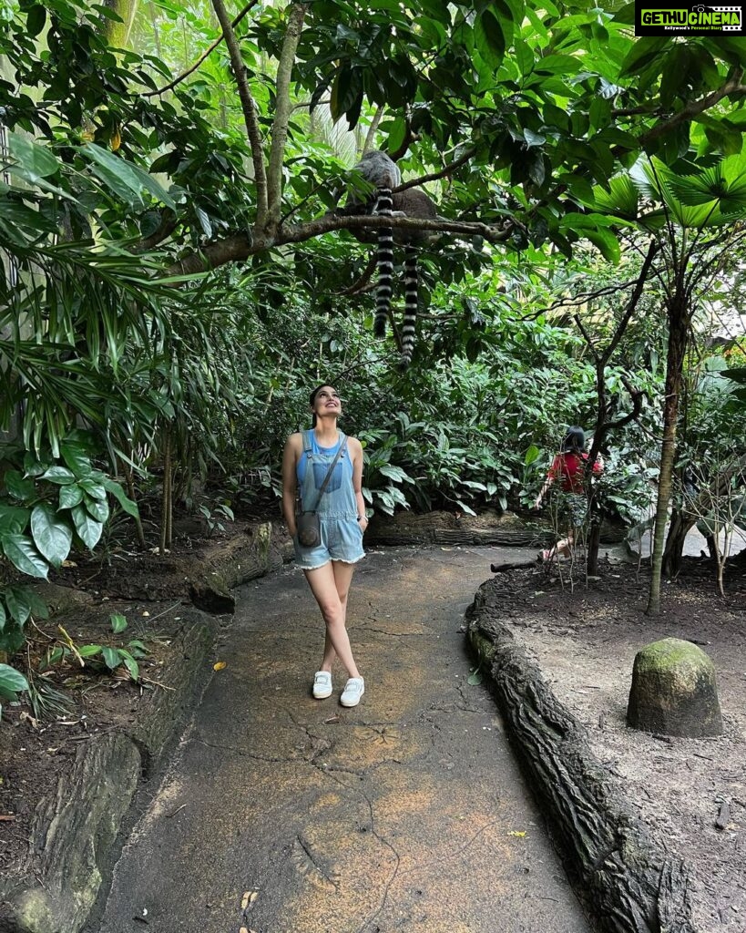 Puja Gupta Instagram - 🦔 🦒 🦓 🦁 🦦 🦖🦧🐘🐆 Singapore Zoo