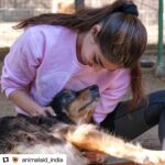 Puja Gupta Instagram - You guys are my real hero’s and the work u do for animals and the way u made ur animal aid family is truly inspiring Thank you for such kind words Much love to my animal aid family @animalaid_india Xoxox Animal Aid Unlimited