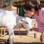 Puja Gupta Instagram - It was my honour to b able to spend time and meet the founders of @animalaid_india and the beautiful family they build in Udaipur . I will cherish my time spend wth the animals and understand how much work it goes to keep them safe and aid for them and manage the place where everyone come together for the love of animals There is so much going on in the world -Covid,Protests, Global Warming , Twitter wars , I could go on ... And yet there are these innocent animals around us on planet earth completely unaware wth what all is happening and trying to survive Life isn’t about complaining all the time is what I learned watching these animals who go through so much pain because of us yet they smile and forget , Life is about living and to be grateful I fold my hands and request all of us here to be kinder to them , show empathy towards them 🙏🏻🙏🏻🙏🏻 Much love to everyone who read this and big Thank you to @animalaid_india for these beautiful pictures I will cherish this memory forever Xoxo Animal Aid Unlimited