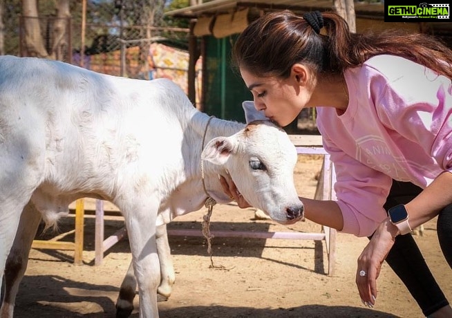 Puja Gupta Instagram - It was my honour to b able to spend time and meet the founders of @animalaid_india and the beautiful family they build in Udaipur . I will cherish my time spend wth the animals and understand how much work it goes to keep them safe and aid for them and manage the place where everyone come together for the love of animals There is so much going on in the world -Covid,Protests, Global Warming , Twitter wars , I could go on ... And yet there are these innocent animals around us on planet earth completely unaware wth what all is happening and trying to survive Life isnβt about complaining all the time is what I learned watching these animals who go through so much pain because of us yet they smile and forget , Life is about living and to be grateful I fold my hands and request all of us here to be kinder to them , show empathy towards them ππ»ππ»ππ» Much love to everyone who read this and big Thank you to @animalaid_india for these beautiful pictures I will cherish this memory forever Xoxo Animal Aid Unlimited