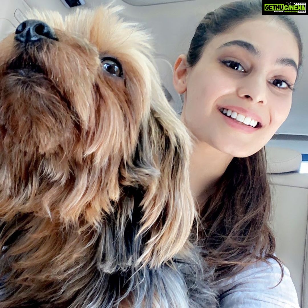 Puja Gupta Instagram - Every day I say to myself, ‘Today will be full of health and energy. Live it to the fullest. 🏡🐶🌈 Home Sweet Home