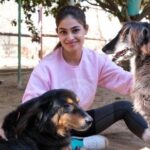 Puja Gupta Instagram - It was my honour to b able to spend time and meet the founders of @animalaid_india and the beautiful family they build in Udaipur . I will cherish my time spend wth the animals and understand how much work it goes to keep them safe and aid for them and manage the place where everyone come together for the love of animals There is so much going on in the world -Covid,Protests, Global Warming , Twitter wars , I could go on ... And yet there are these innocent animals around us on planet earth completely unaware wth what all is happening and trying to survive Life isn’t about complaining all the time is what I learned watching these animals who go through so much pain because of us yet they smile and forget , Life is about living and to be grateful I fold my hands and request all of us here to be kinder to them , show empathy towards them 🙏🏻🙏🏻🙏🏻 Much love to everyone who read this and big Thank you to @animalaid_india for these beautiful pictures I will cherish this memory forever Xoxo Animal Aid Unlimited