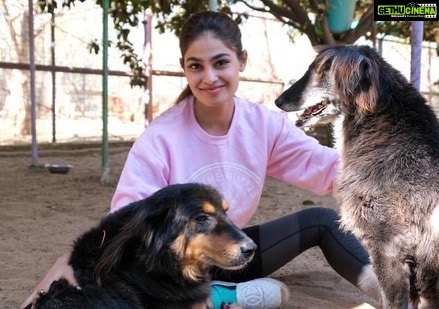 Puja Gupta Instagram - It was my honour to b able to spend time and meet the founders of @animalaid_india and the beautiful family they build in Udaipur . I will cherish my time spend wth the animals and understand how much work it goes to keep them safe and aid for them and manage the place where everyone come together for the love of animals There is so much going on in the world -Covid,Protests, Global Warming , Twitter wars , I could go on ... And yet there are these innocent animals around us on planet earth completely unaware wth what all is happening and trying to survive Life isnβt about complaining all the time is what I learned watching these animals who go through so much pain because of us yet they smile and forget , Life is about living and to be grateful I fold my hands and request all of us here to be kinder to them , show empathy towards them ππ»ππ»ππ» Much love to everyone who read this and big Thank you to @animalaid_india for these beautiful pictures I will cherish this memory forever Xoxo Animal Aid Unlimited