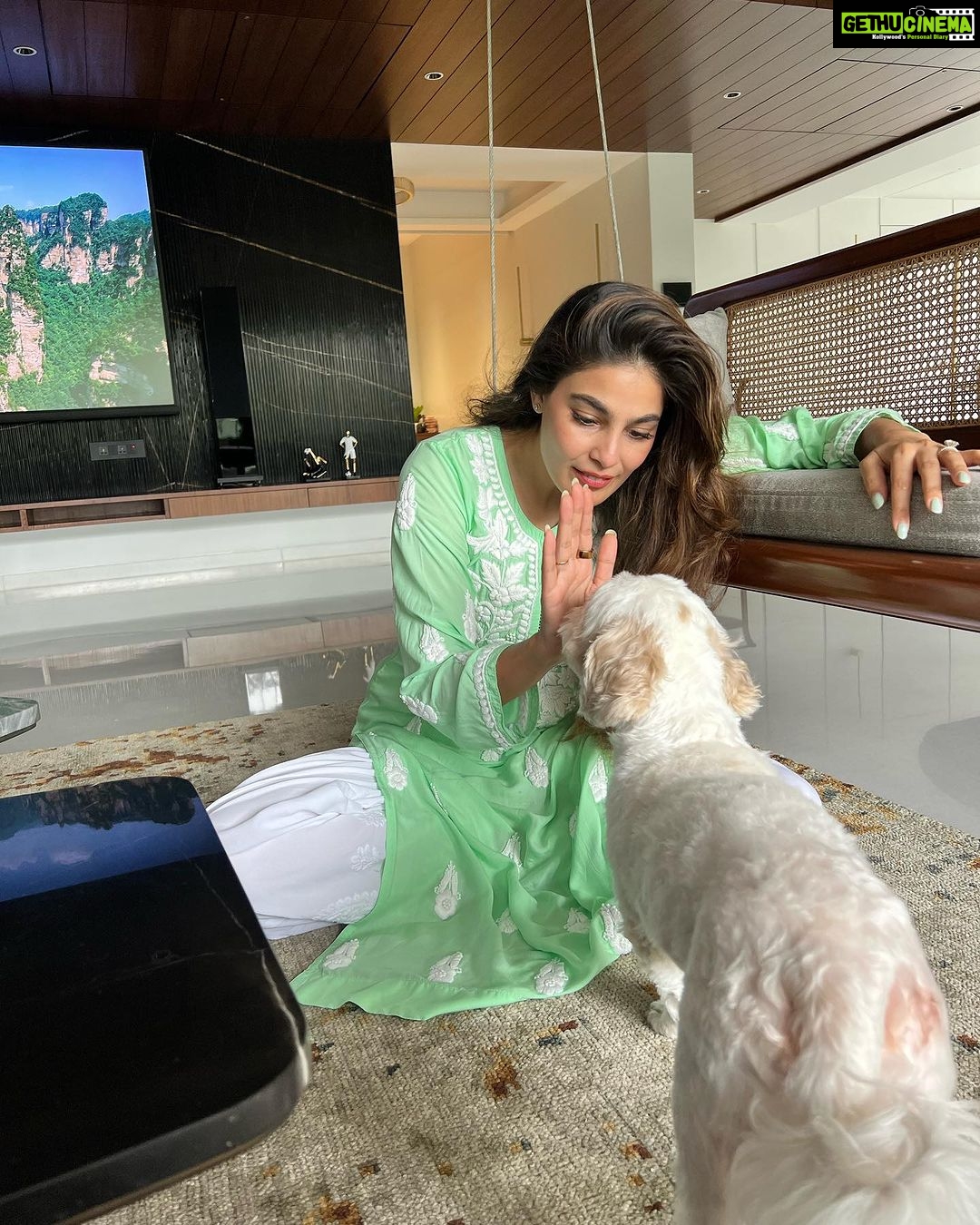 Puja Gupta Instagram - “Be the person your dog thinks you are." Mumbai -city of Dreams