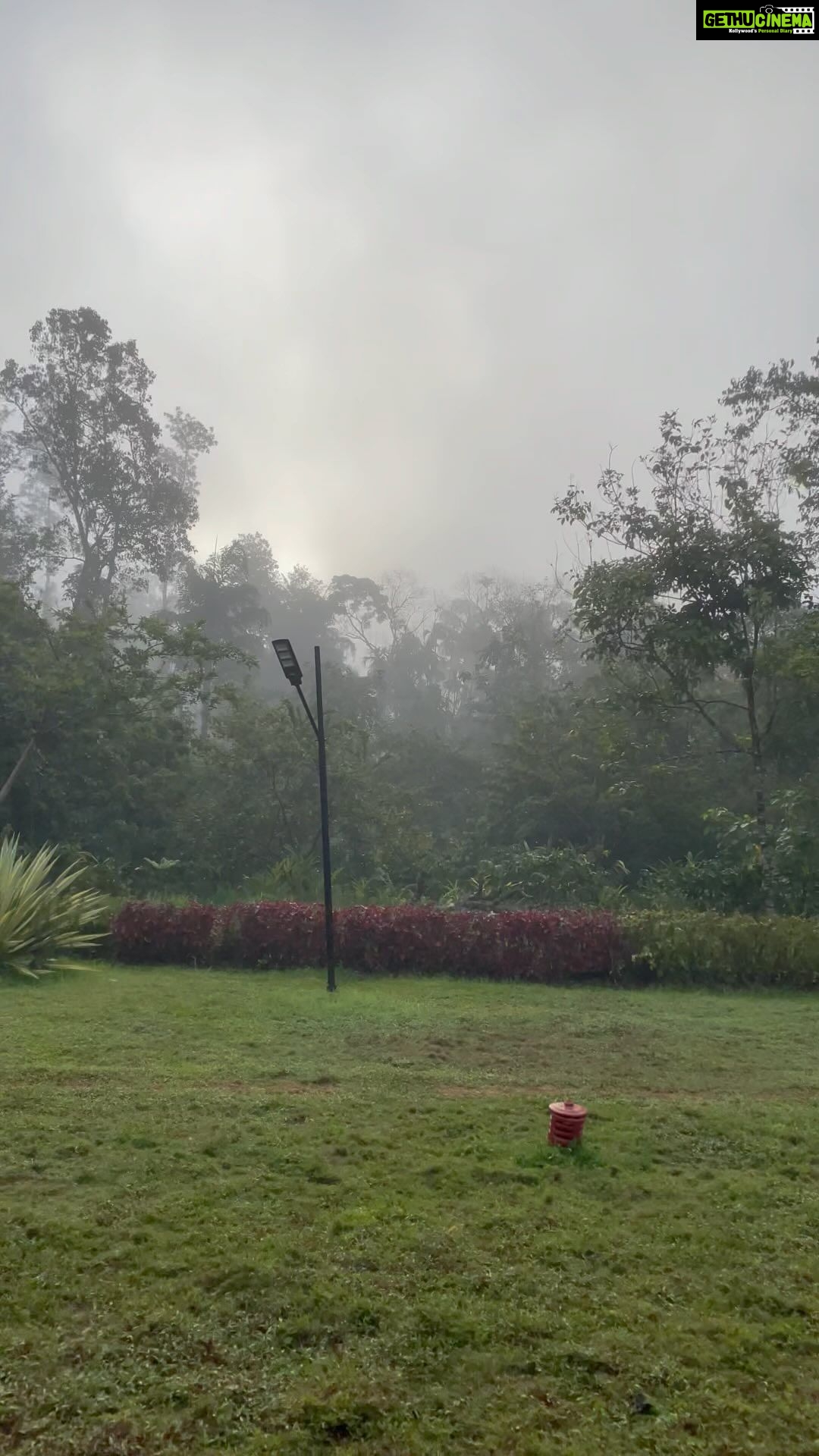 Rachana Inder Instagram - 🔊 “In every walk with nature one receives far more than he seeks” ~John Muir Sound on to listen to the mornings I’ve been experiencing for the last couple of days. How did we not want this and choose concrete lifestyle instead?