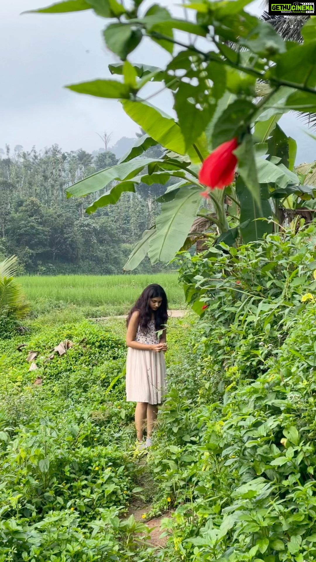 Rachana Inder Instagram - In my element 🌿 How my mornings in ooru look like : go for a walk as soon as you wake up (yes, messy hair is mandatory)